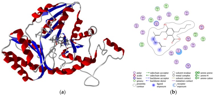 Figure 11