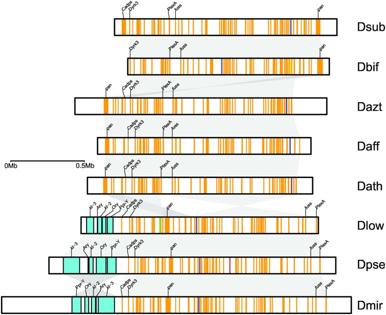 Fig. 2.