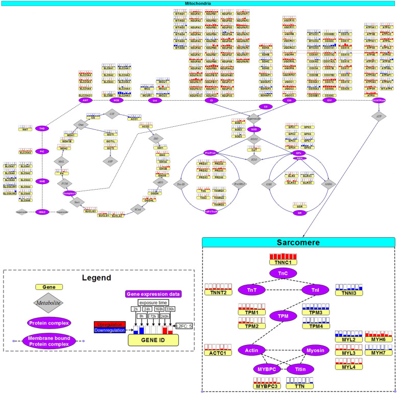 Fig. 3