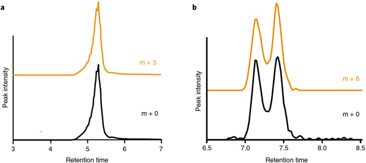 Fig. 4 ∣