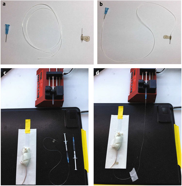 Fig. 3 ∣