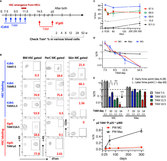 Figure 4