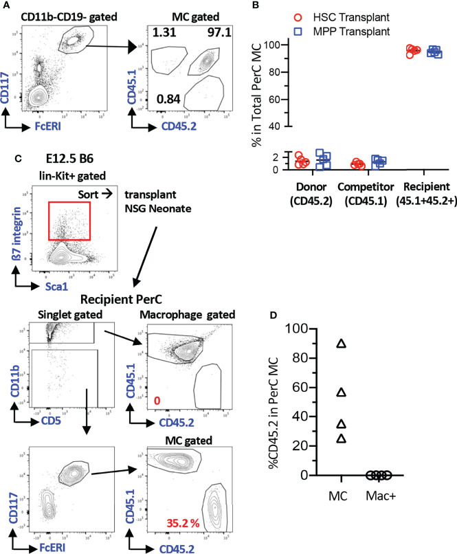 Figure 1