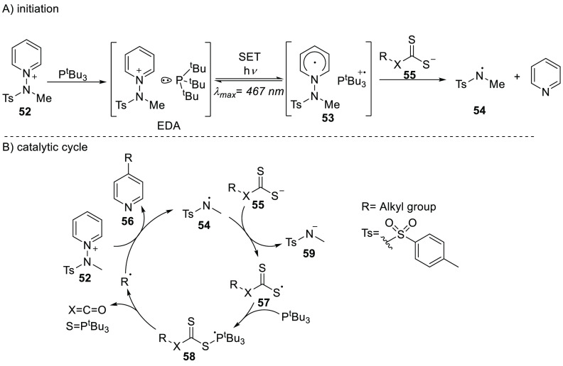 Scheme 19