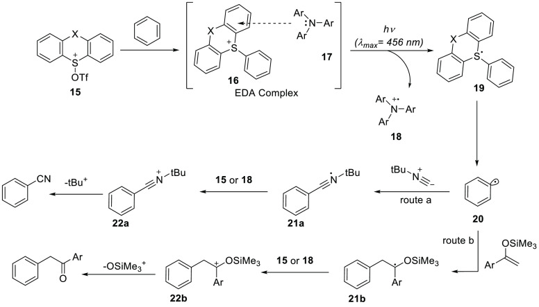 Scheme 8