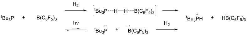 Scheme 6