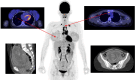 graphic file with name 259_2024_6861_Fig1_HTML.gif