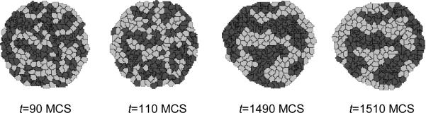 Figure 12