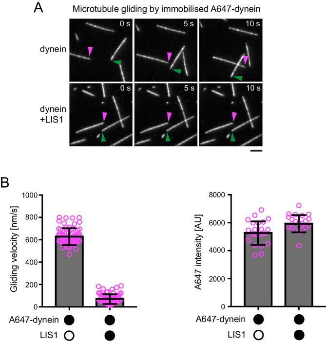 Figure 6—figure supplement 3.