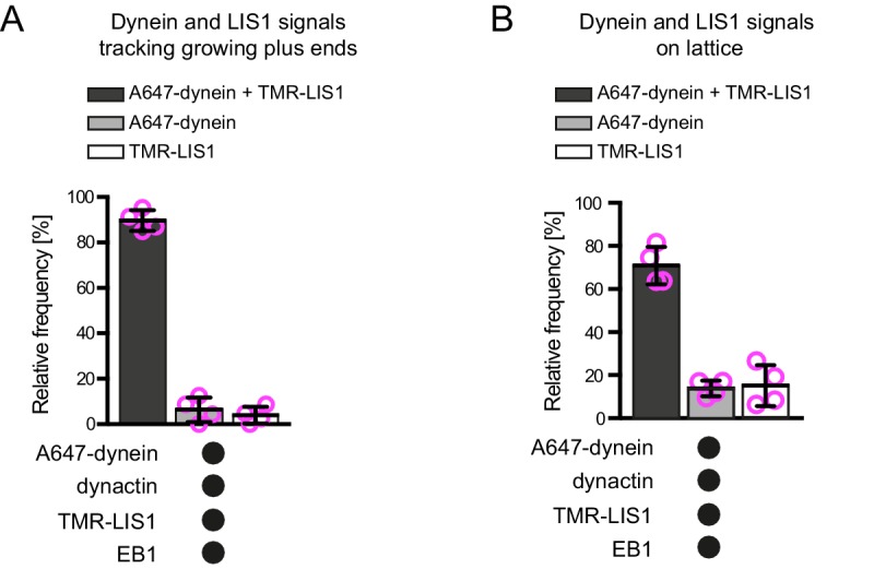 Figure 2—figure supplement 3.