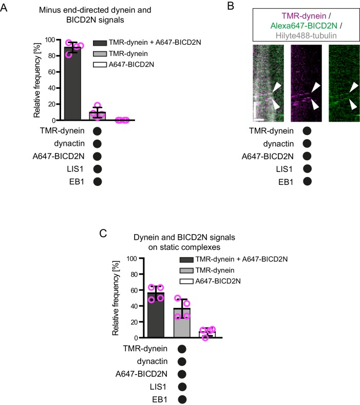 Figure 4—figure supplement 3.