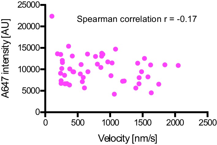 Figure 6—figure supplement 2.