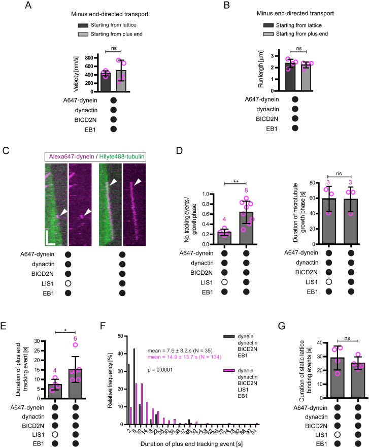 Figure 4—figure supplement 1.