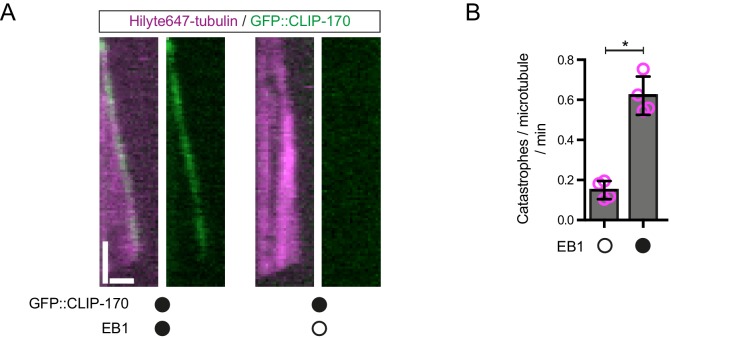 Figure 2—figure supplement 1.