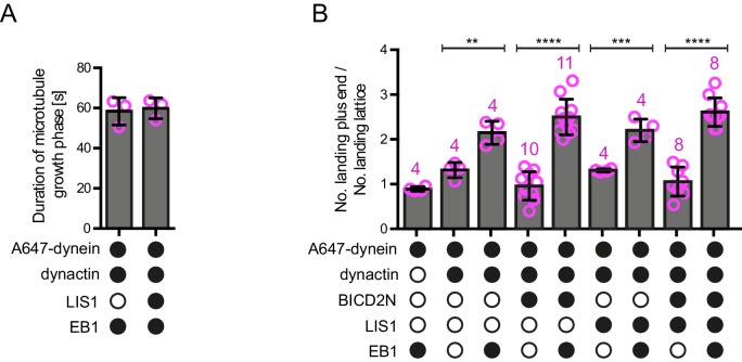 Figure 2—figure supplement 2.