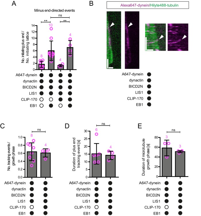 Figure 4—figure supplement 2.