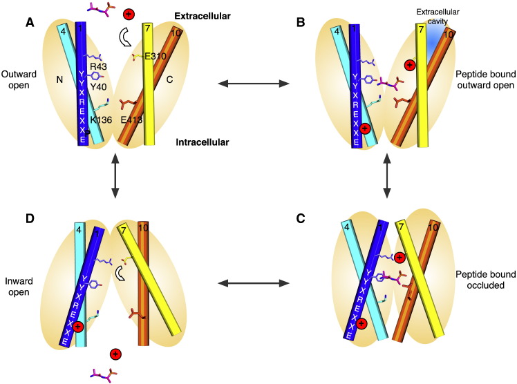 Fig. 9