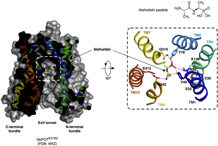 Fig. 3