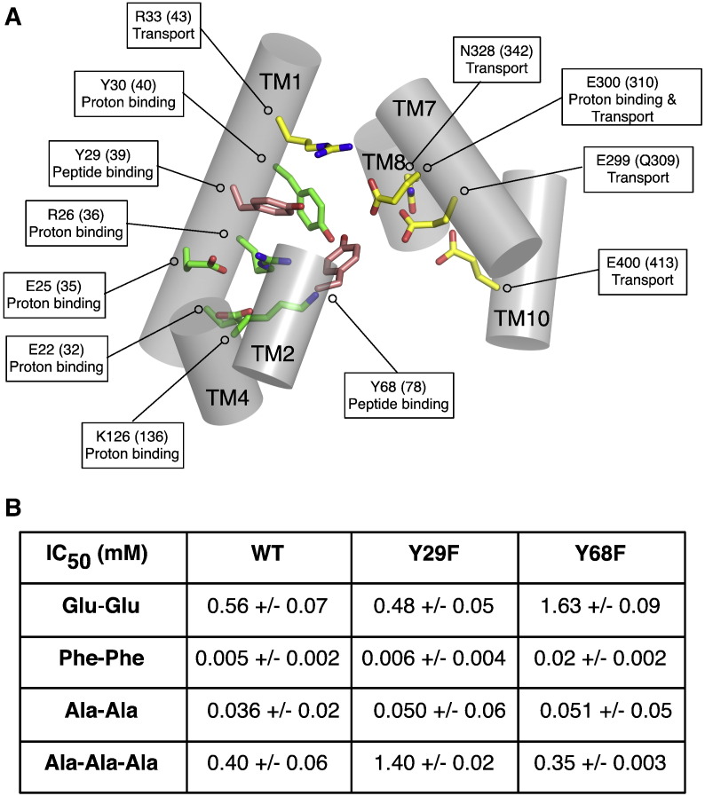 Fig. 6