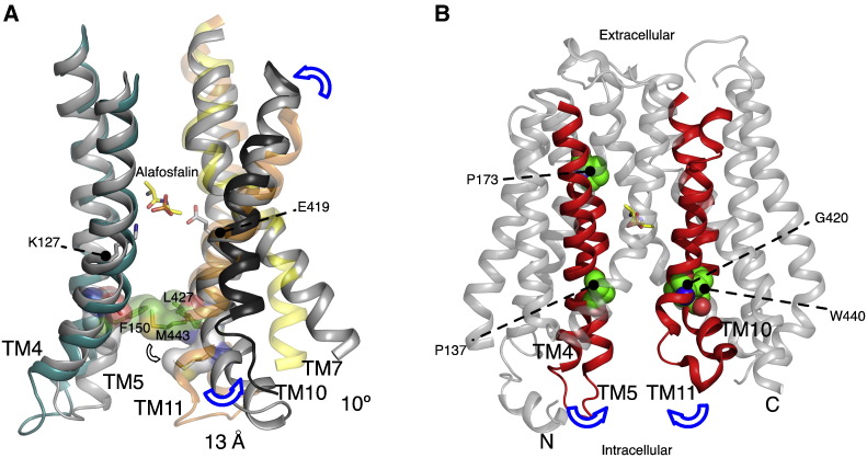 Fig. 8