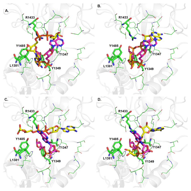 Figure 6