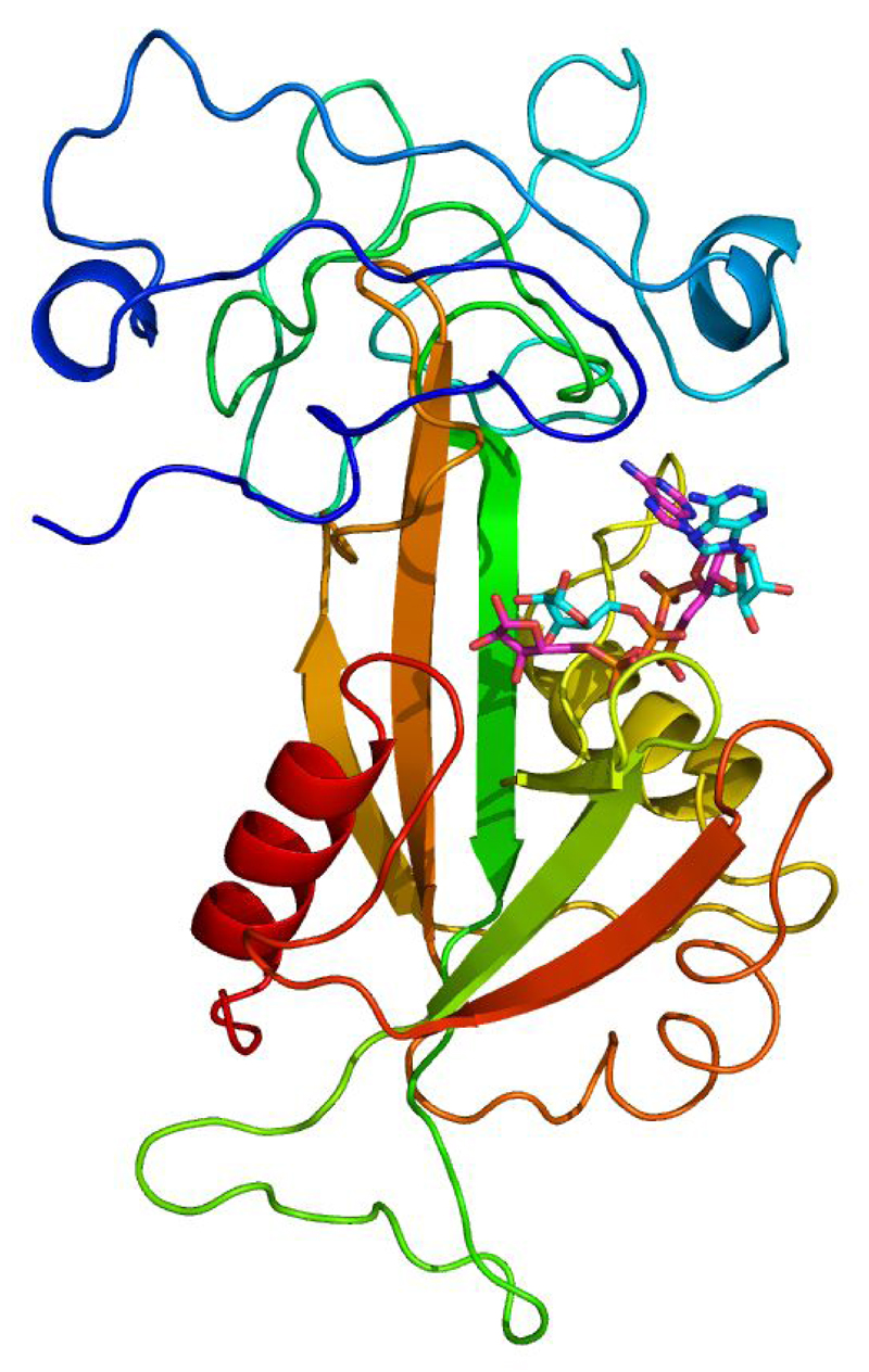 Figure 5