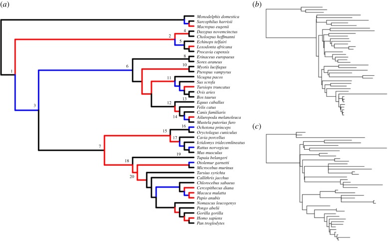 Figure 2.