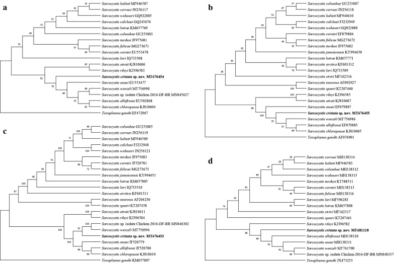 Fig. 3
