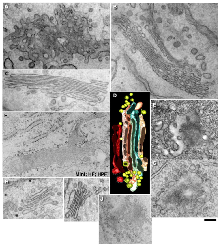 Figure 14