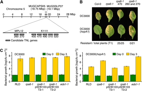 Figure 2.