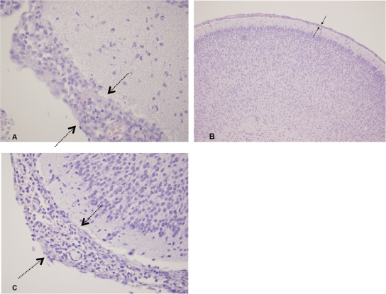 FIG. 7.