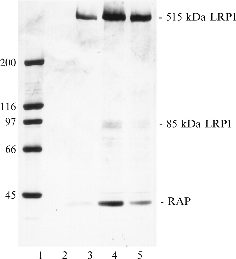 Figure 2.1