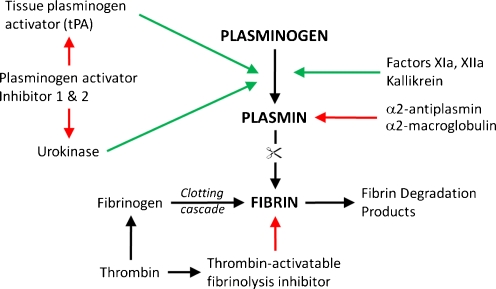 Fig. 1