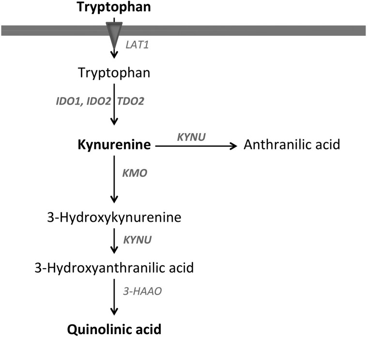 Fig. 1.