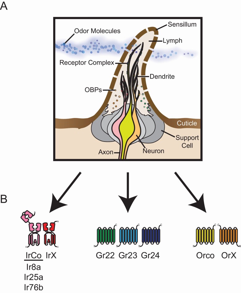 Figure 2.