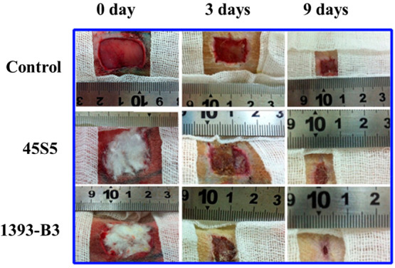 Figure 10