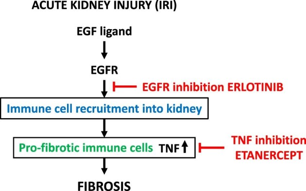 Figure 5: