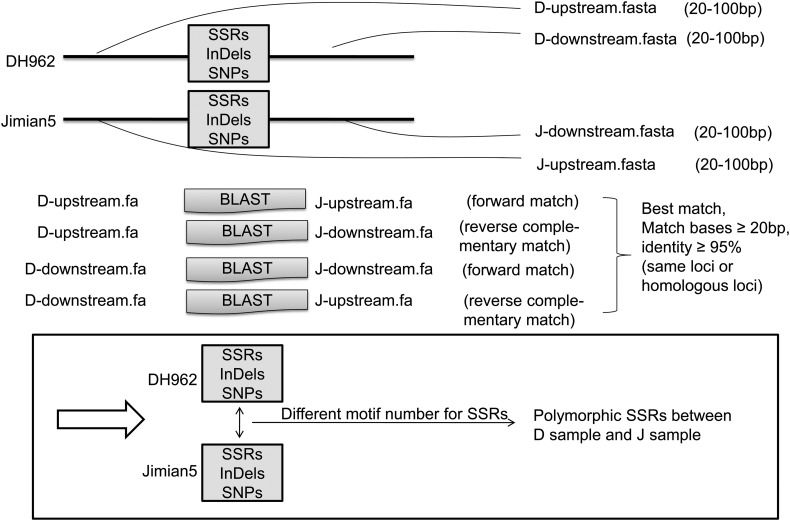 Figure 2.