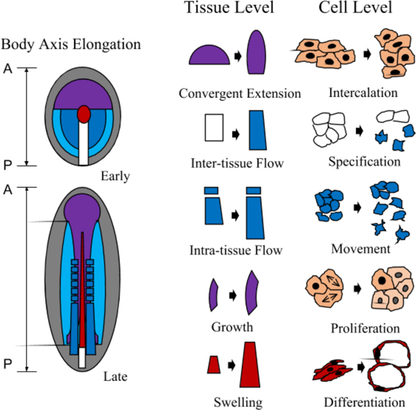 Figure 1 |