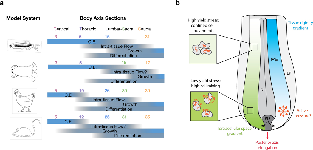Figure 2 |