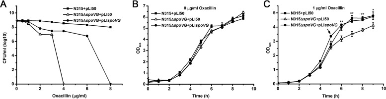 FIG 1