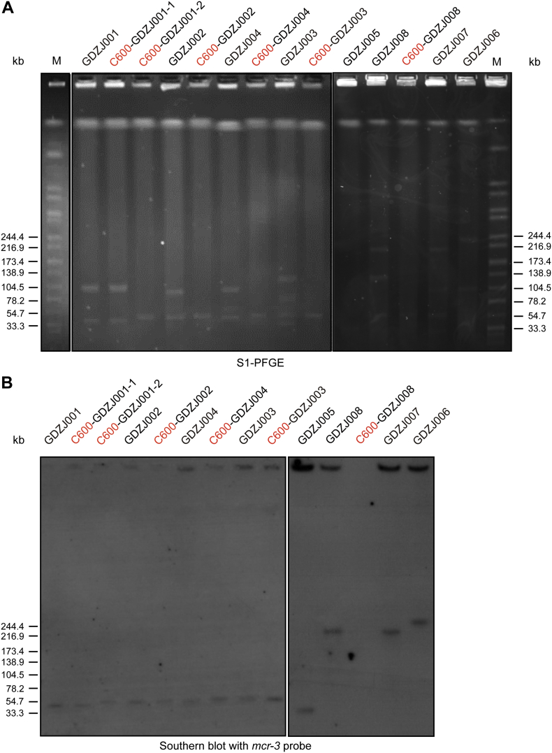 Fig. S1