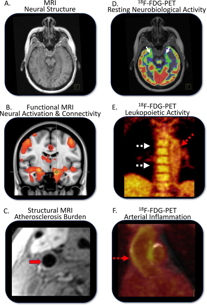 Figure 4: