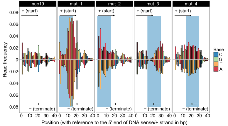 Figure 4.