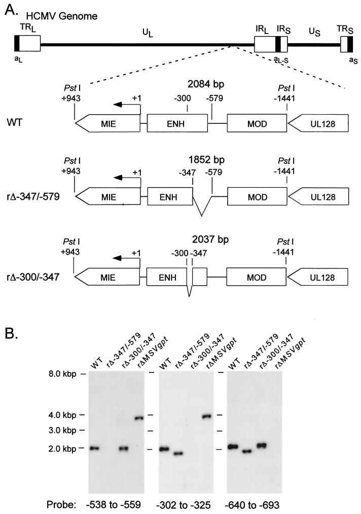 FIG. 2.