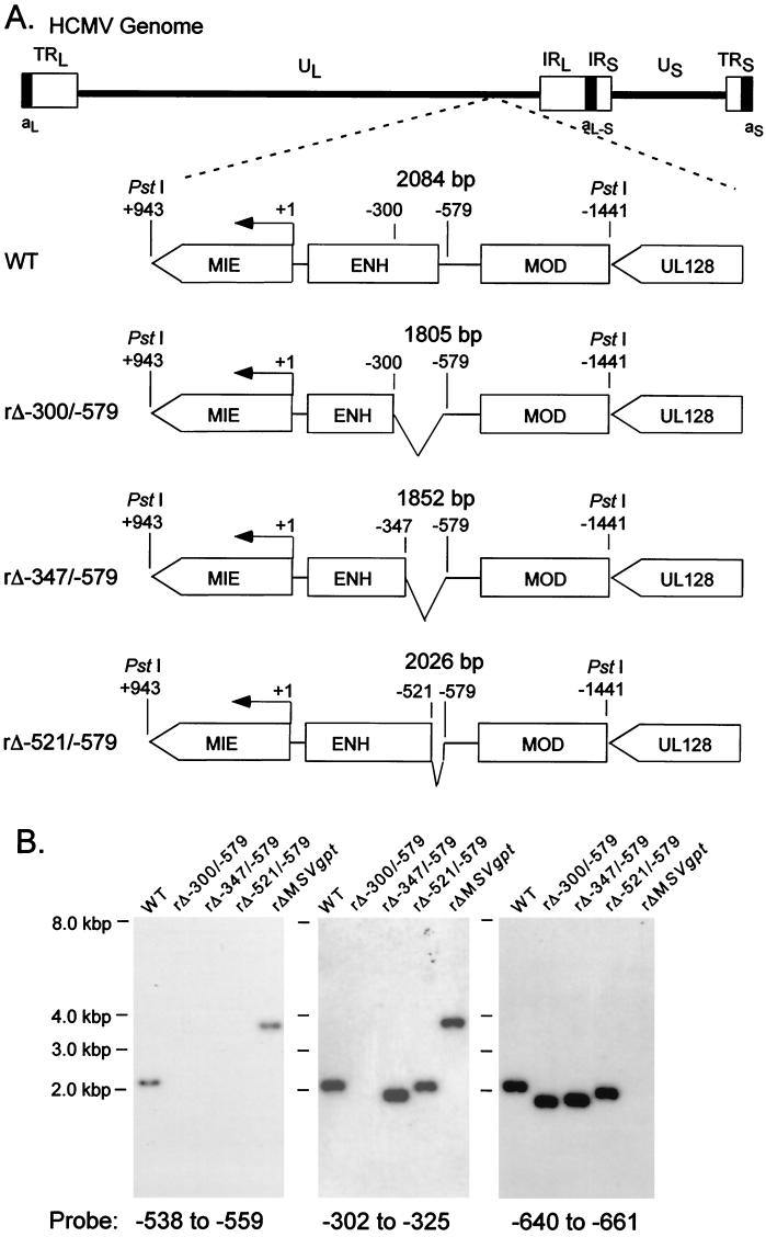 FIG. 1.