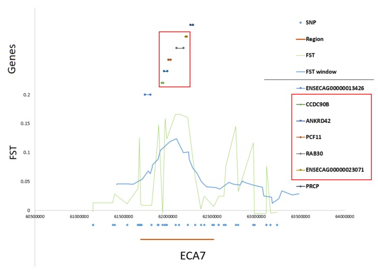 Figure 7