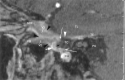 F<sc>ig</sc> 5.