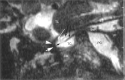 F<sc>ig</sc> 2.
