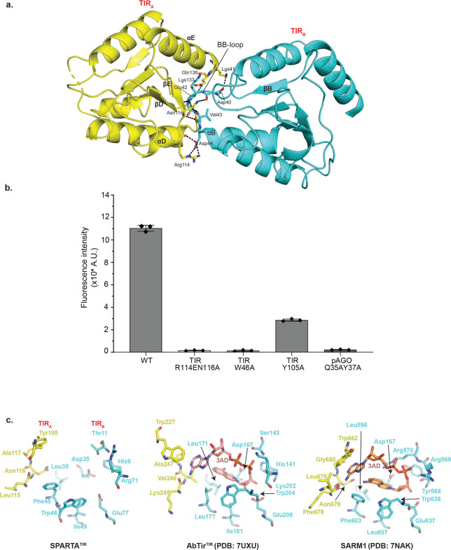 Fig. 4: